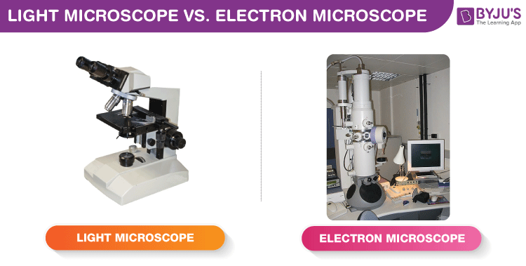 what are the differences between light microscopes and electron microscopes