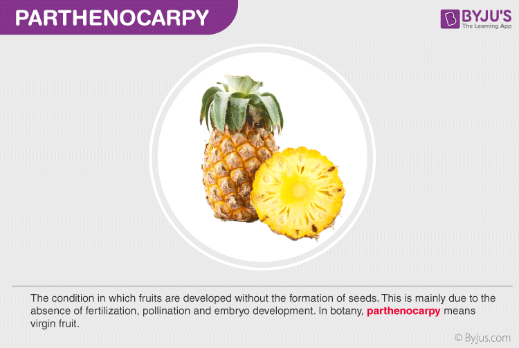 Parthenocarpy - Types And Parthenocarpic Fruits