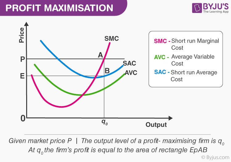 The Profit Maximisation Problem - Graphical Representation, Meaning