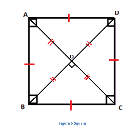 Properties of Square