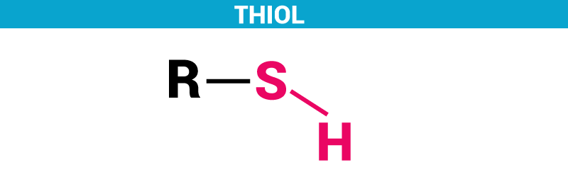 Thiol