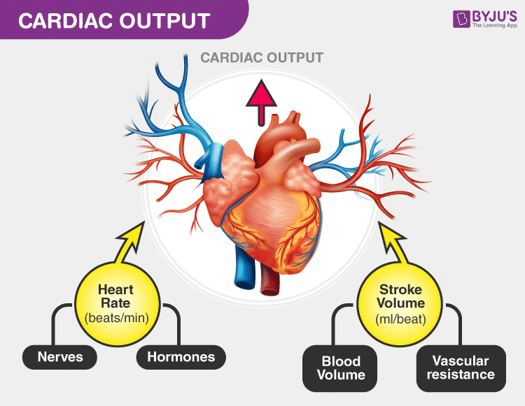 What Is Cardiac Rate