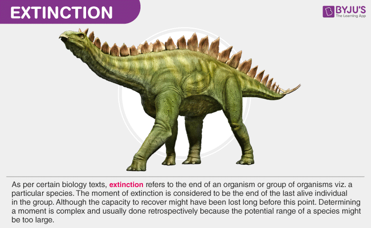 Extinct Animal of the Week: Sizes and Species