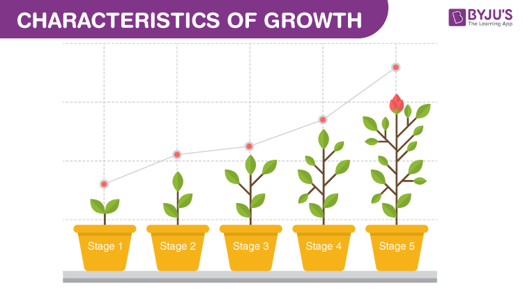 Growth of plants