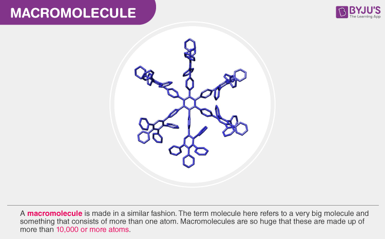 Biochemistry Macromolecules Chart