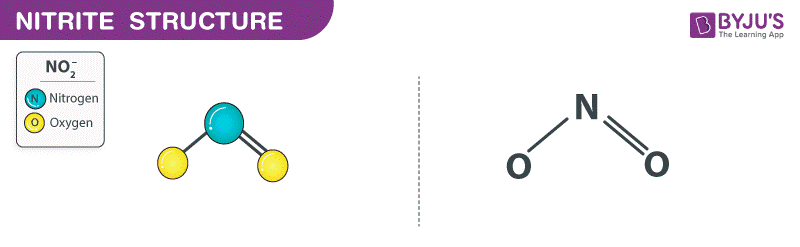 Nitrite Structure