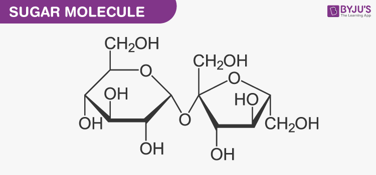 structure of nucleic acids for kids