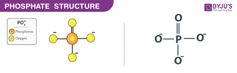 phosphate diagram