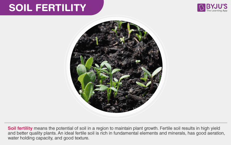 All Fertile Soils are not Productive But All Productive Soils are