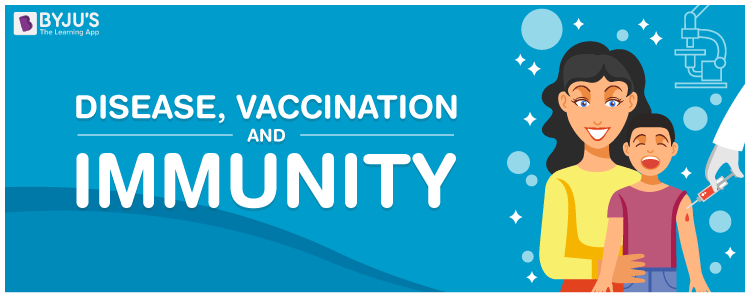 Disease, Vaccination and Immunity - An Overview