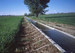 Water Management Water Management