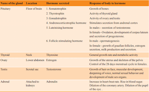 AP Class 10 Biology Chapter 5 Coordination