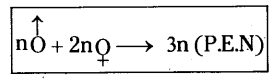 AP Class 10 Biology Chapter 6 Reproduction