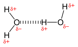 Hydrogen bonding in water Hydrogen bonding in water