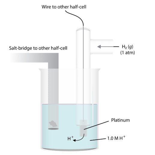 Standard Hydrogen Electrode Definition, Construction, and Labelled