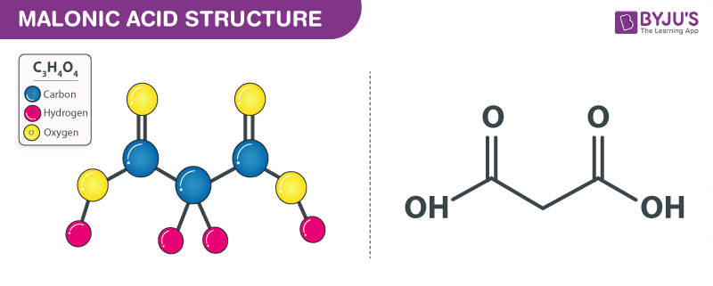 Structure of Malonic acid