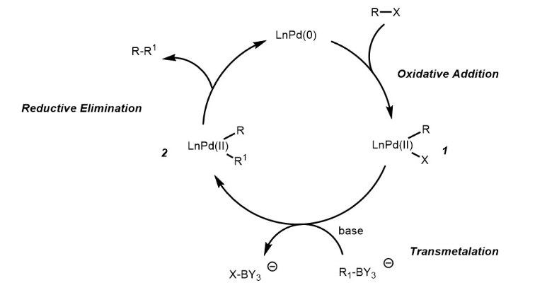 Suzuki Coupling Reaction - Definition, Details and Mechanism with Examples