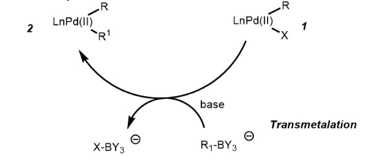 Suzuki Coupling Reaction - Definition, Details and Mechanism with Examples