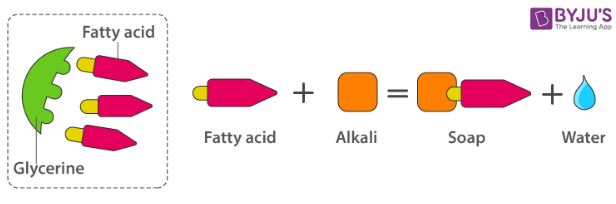 Soaps and store detergents chemistry