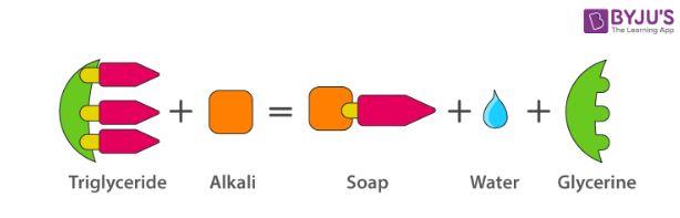 Soaps and shop detergents chemistry