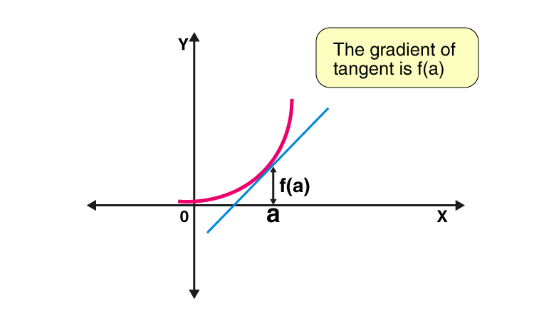 differential calculus functions