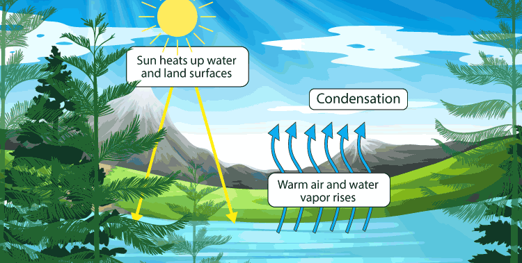 How Are Clouds Formed? 