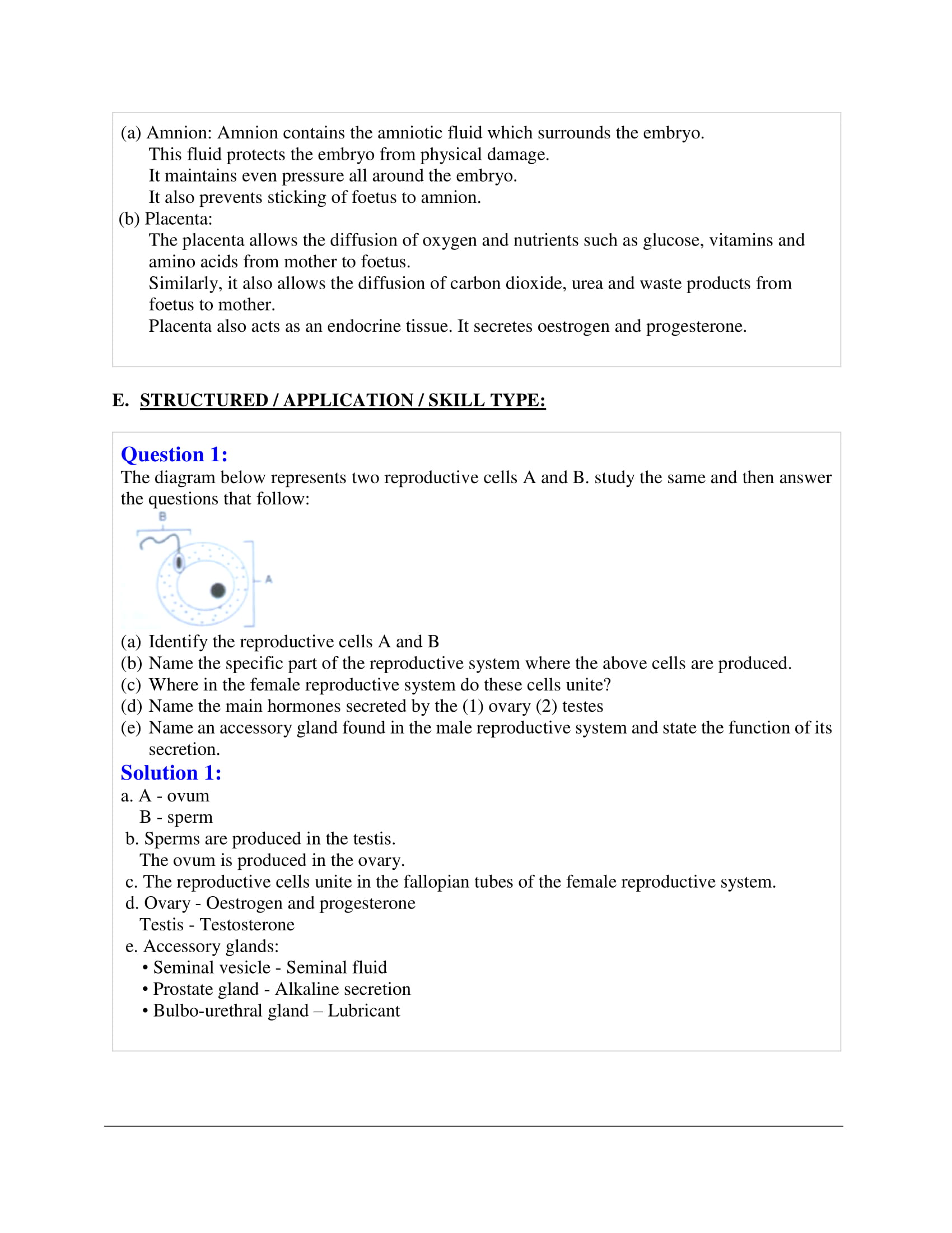 icse-selina-biology-solutions-class-10-chapter-10-the-reproductive-system-16 icse-selina-biology-solutions-class-10-chapter-10-the-reproductive-system-16