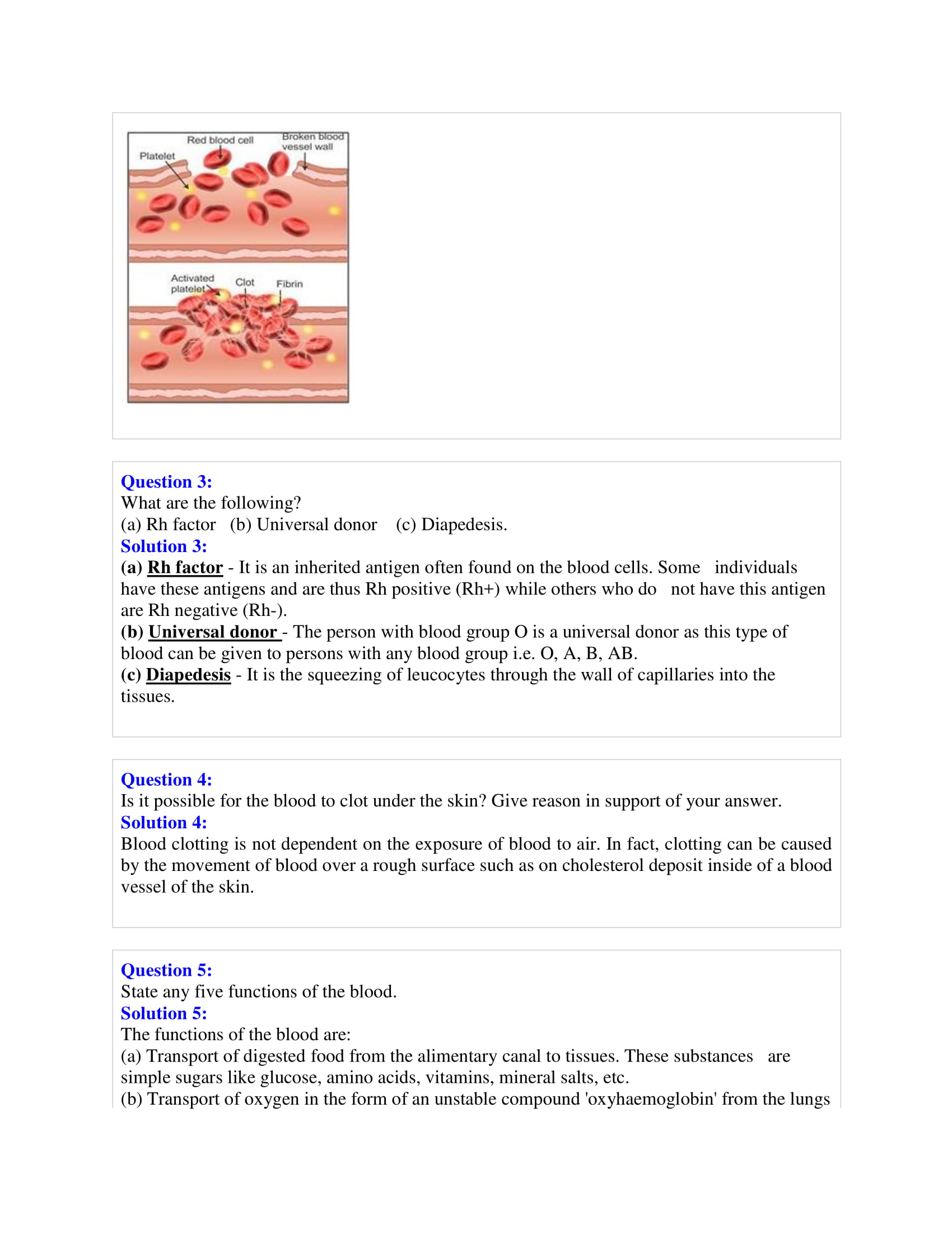 Selina Solutions Class 10 Concise Biology Chapter 6 The Circulatory System -Download Free PDF