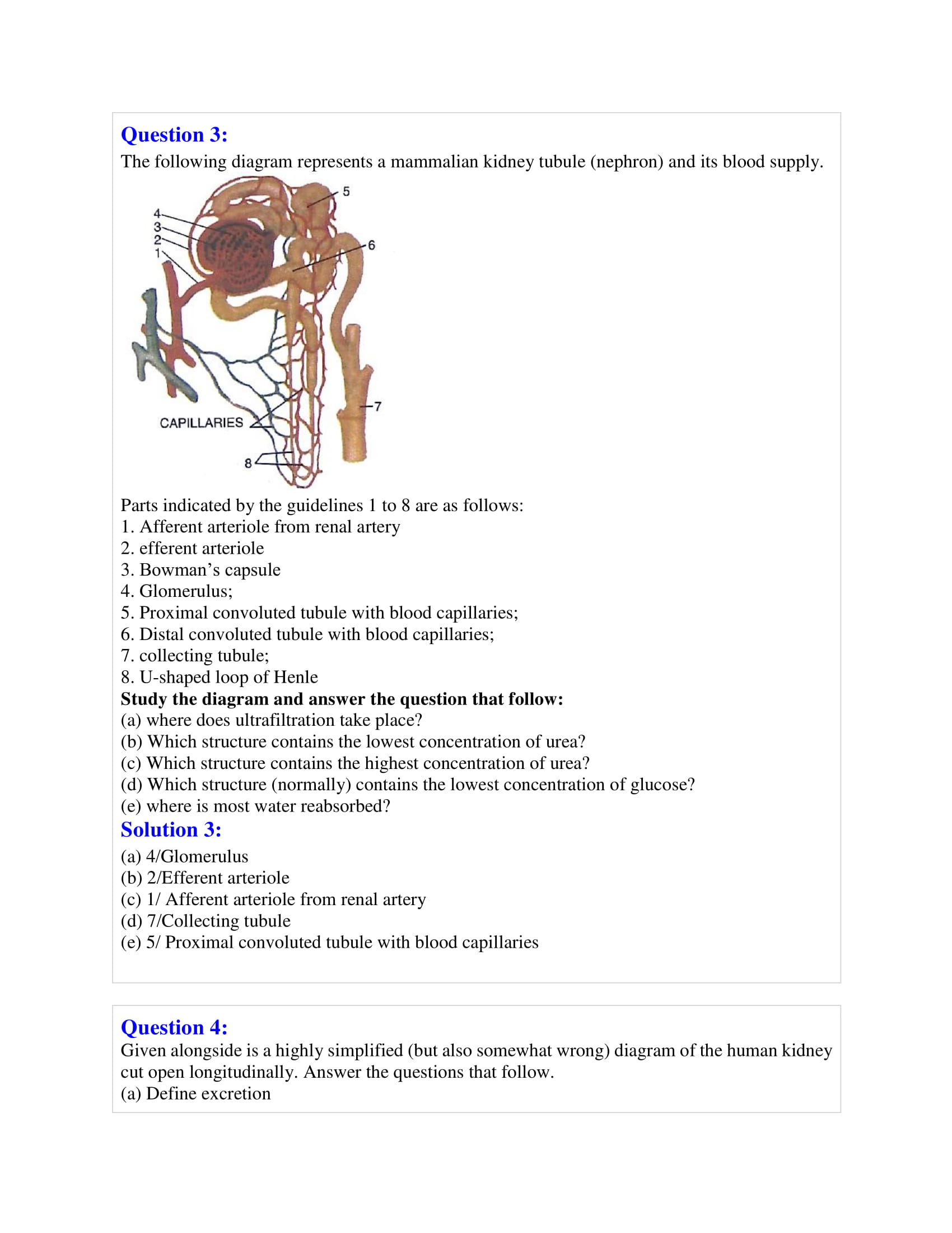 Selina Solutions Class 10 Concise Biology Chapter 7 The Excretory System -Download Free PDF