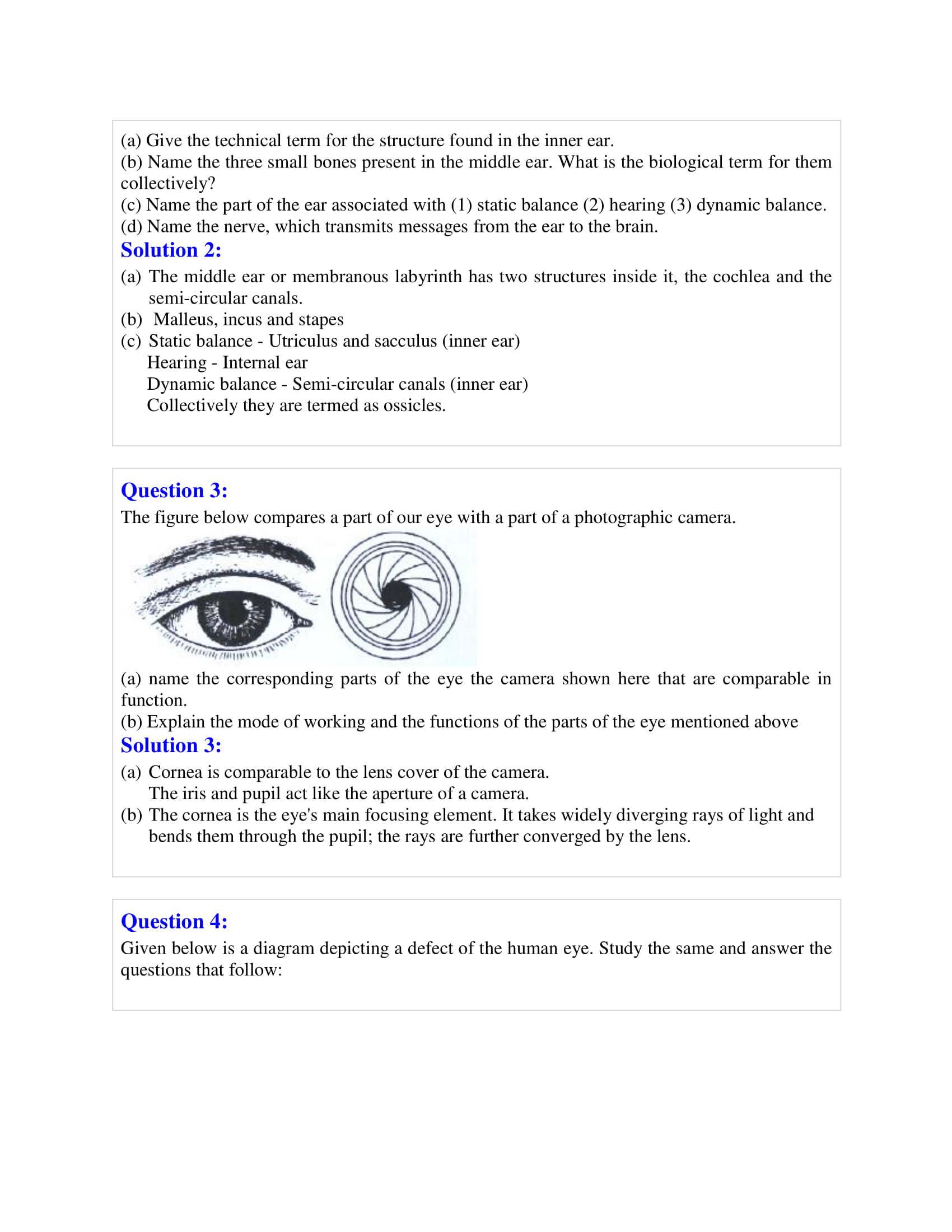 icse-selina-biology-solutions-class-10-chapter-8-the-nervous-system-21 icse-selina-biology-solutions-class-10-chapter-8-the-nervous-system-21