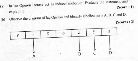  Kerala plus two Biology important questions-8