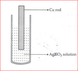 Kerala SSLC Class 10 Chemistry Important Questions