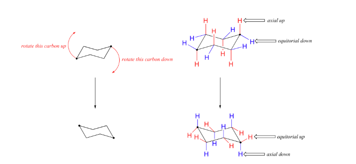 Conformation Of Cyclohexane Chair Twist Boat Boat And