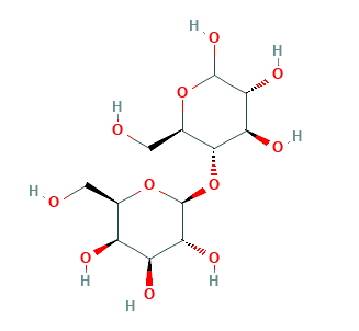 lactose structure diagram