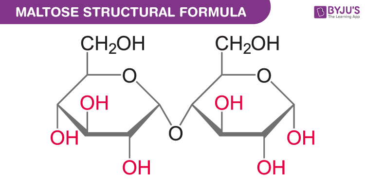 Maltose Chemical Structure