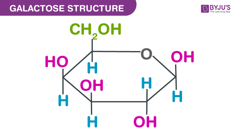 and galactose structure formula Galactose Structure Formula, Properties And Definition,