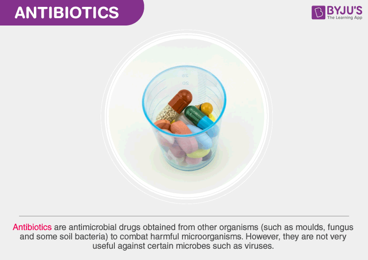 Overview of an antimicrobial agents - Microbiology Notes