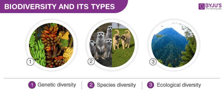 Threats to Biodiversity and Ecosystem Diversity