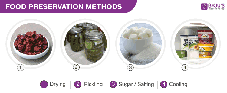 Food Preservation Methods