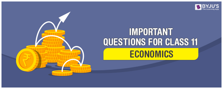 Important Questions for Class 11 Economics 