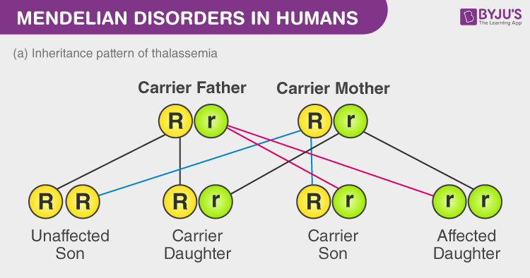 Survey Of Common Genetic Disorders Chart Answers