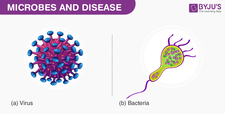 human diseases caused by viruses