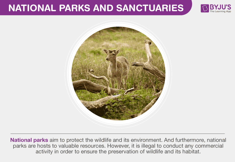 National Parks and Sanctuaries