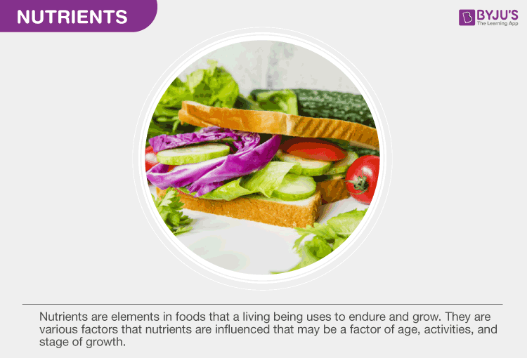 What Are Nutrients Types And Functions Of Nutrients