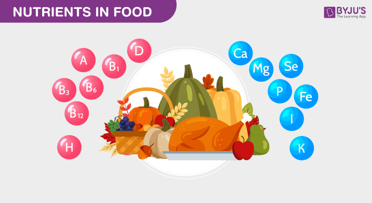 What Are Nutrients Types And Functions Of Nutrients