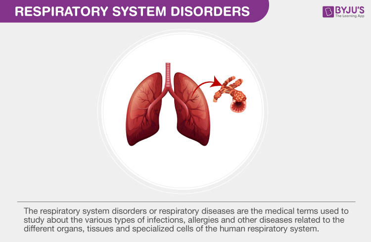 Respiratory System Disorders - Types and Causes of Respiratory Diseases