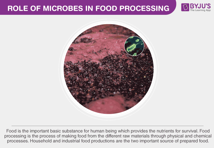 Role of Microbes in Food Processing