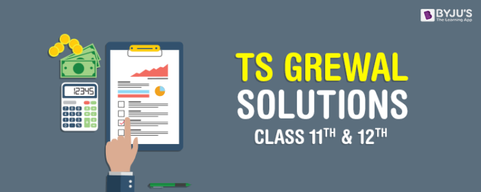 TS GREWAL CLASS 11 TEXTBOOK PDF FREE DOWNLOAD 2024 EDITION visual data 3