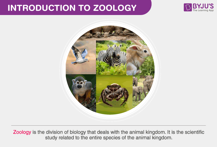 Zoology