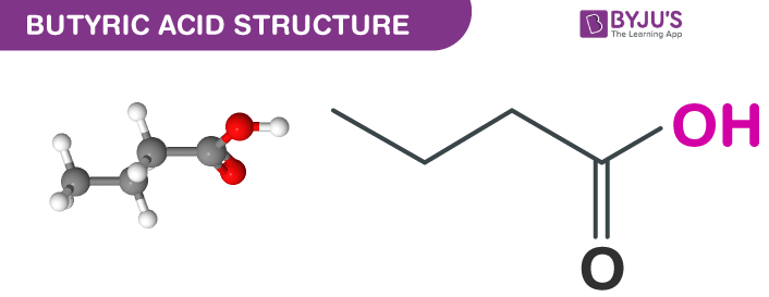 Butyric Acid Structure